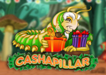 Cashapillar logo