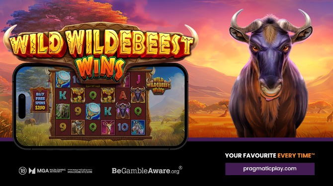 Wild Wildebeest Wins